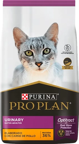 Producto 6